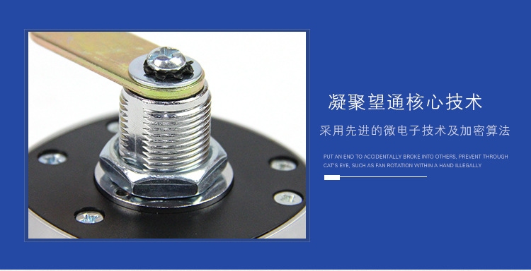 4369744446_1216069359.jpg 4369744446_1216069359.jpg